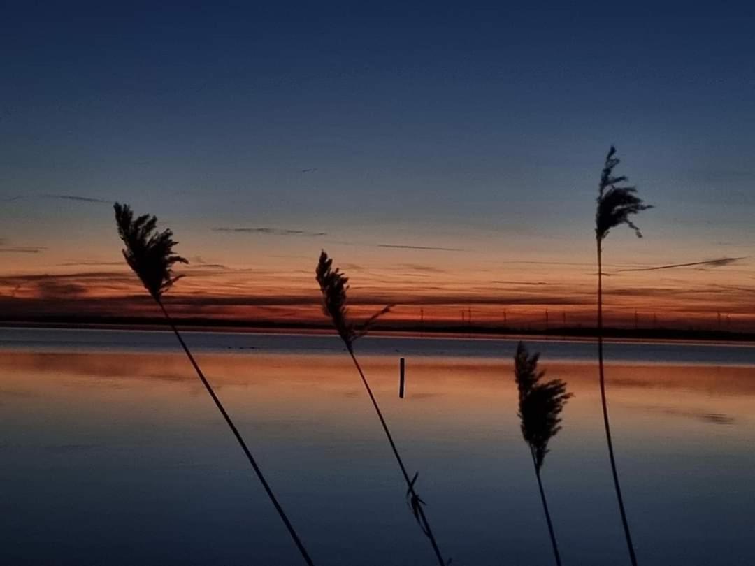 Seeliebe, 300 Meter Zum Wasser, Mit Terrasse Und Garten Лембрух Екстер'єр фото