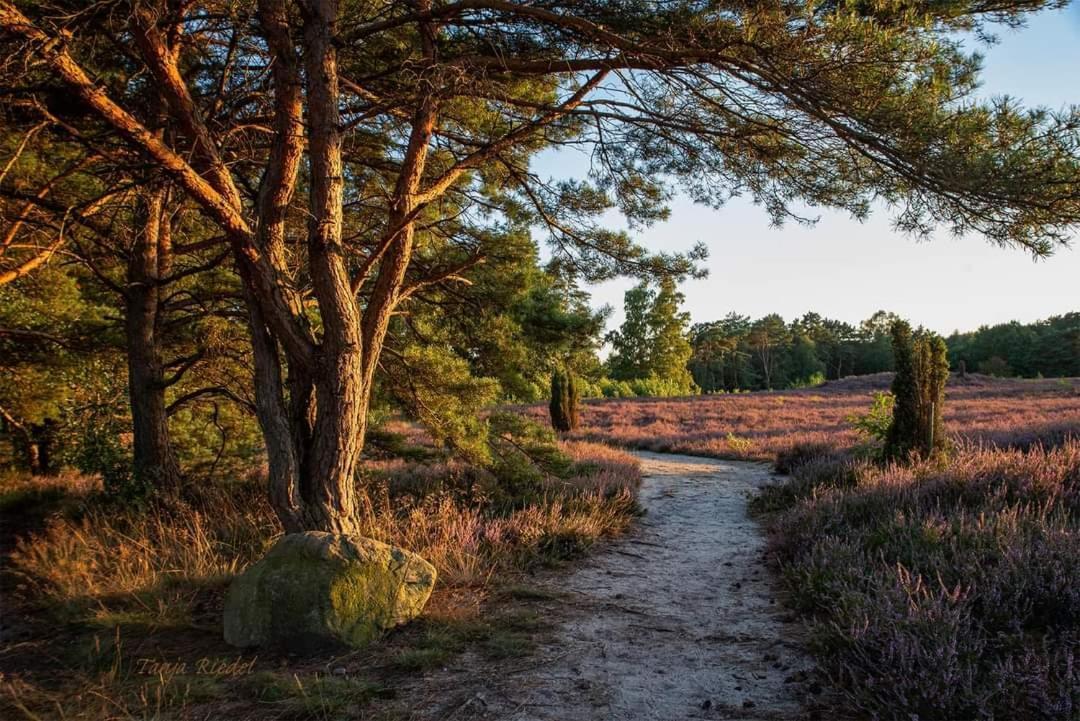 Seeliebe, 300 Meter Zum Wasser, Mit Terrasse Und Garten Лембрух Екстер'єр фото